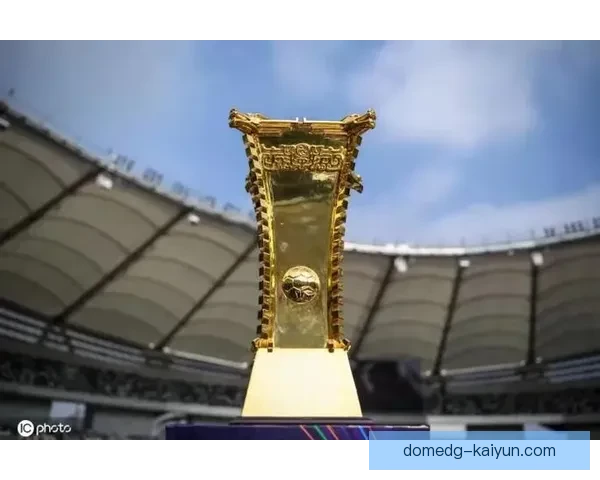 解放者杯分组抽签结果出炉，参赛球队备受关注