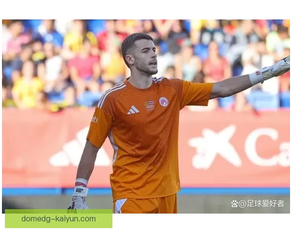 西甲埃斯帕尼奥尔引援动向：近期补强策略与阵容调整分析